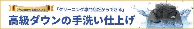 山梨県甲府市・プレミアムダウンクリーニング